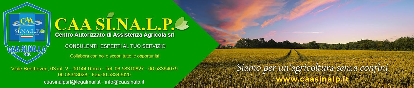 bannercaasinalp (1)